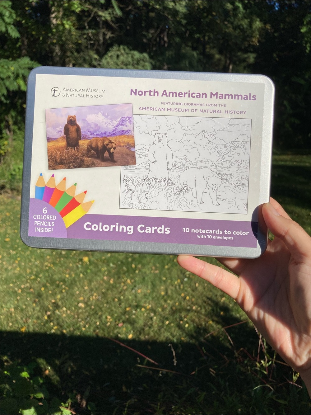 NWT American Museum of Natural History North American Mammals Coloring Cards Tin